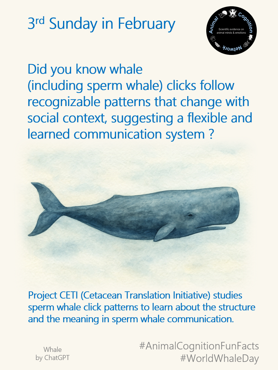 Animal Cognition Fun Facts